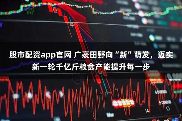 股市配资app官网 广袤田野向“新”萌发，迈实新一轮千亿斤粮食产能提升每一步